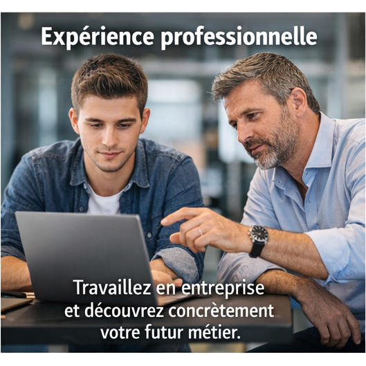 alternance_experience_professionnelle_square